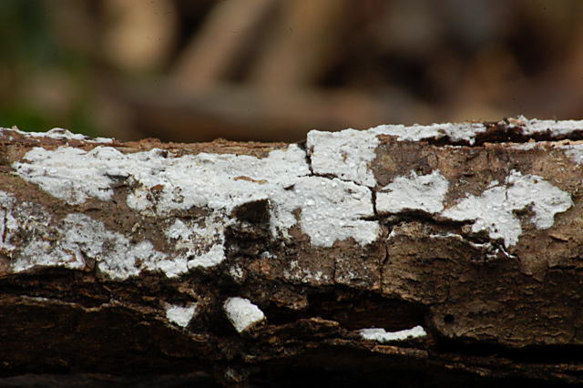 Criticatemi pure senza piet�!